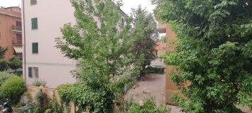 IMG-20260717-WA0017